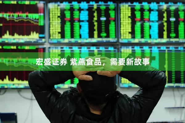 宏盛证券 紫燕食品，需要新故事
