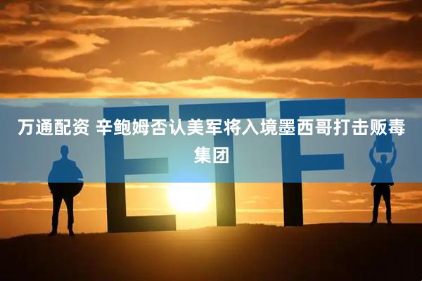 万通配资 辛鲍姆否认美军将入境墨西哥打击贩毒集团