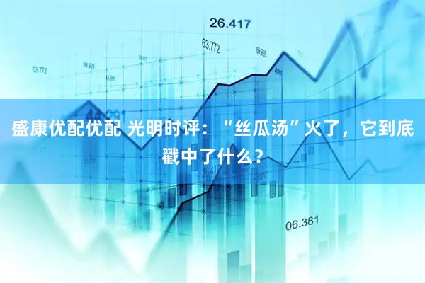 盛康优配优配 光明时评：“丝瓜汤”火了，它到底戳中了什么？